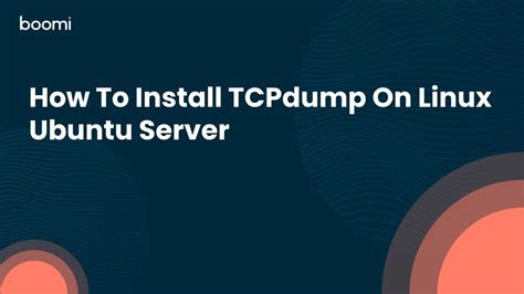 Ubuntu Manpage: utmpdump .